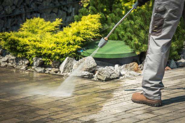 Best Dumpster Area Cleaning  in Altavista, VA